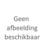 SUV 2023-heden